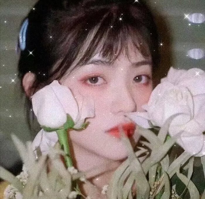 月光宫殿